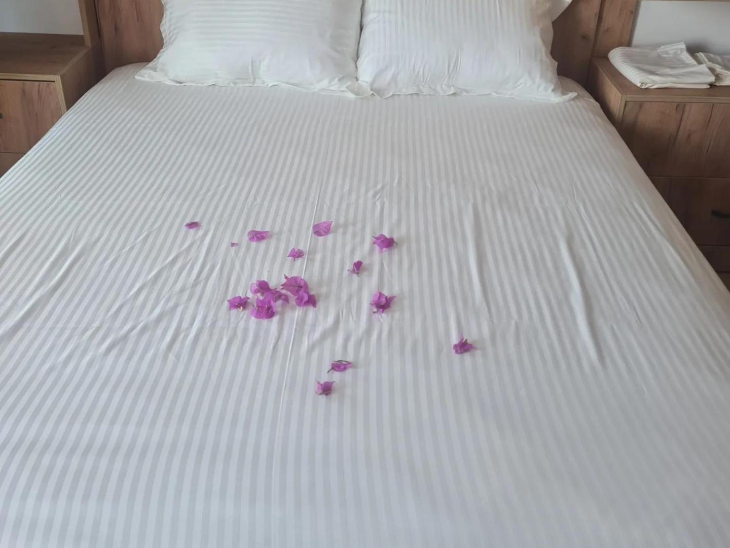 Sol Apartments Gjiri Lalzit ドゥラス エクステリア 写真